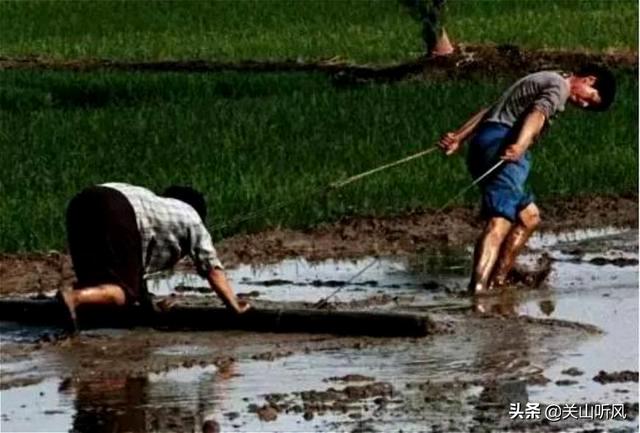 天心的老公:如何看待《幸福一家人》中房天心和王烁的感情？