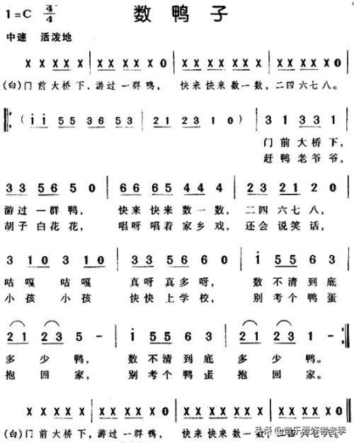 头条问答 - 如何使用专业术语来评价《小跳蛙》这首歌?(6个回答)