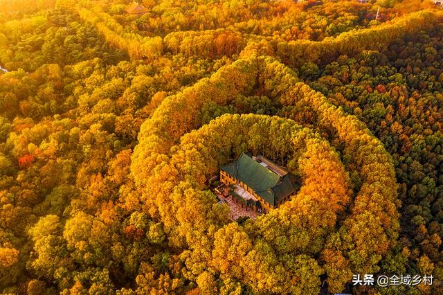 南京旅游集团官网:苏州、杭州和南京这三座城市，比旅游谁会略胜一筹？