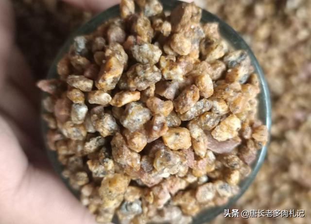 多肉黄金麦饭石的作用:多肉可以在上面盖上玻璃吗？