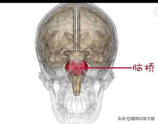董卿被6人睡图片:一天睡6个小时，长期这样，人会怎么样？