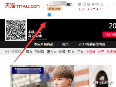 淘宝电脑版登录,电脑上如何登录淘宝旺旺号聊天？