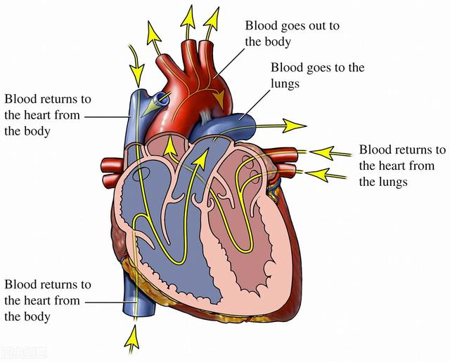心梗支架后心肌都会有损伤吗？