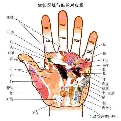 头条问答 - 肾不好,手上会有什么表现?(19个回答)