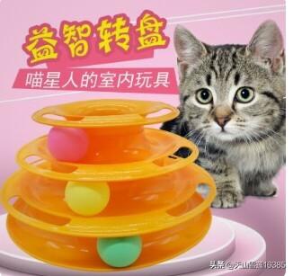 辅猫吧之我可爱的他:有什么东西能去掉猫在屋里留下的味道？