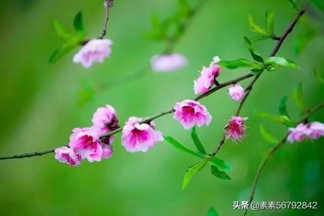 你是否经历过低谷无助的心痛,怎么度过的？