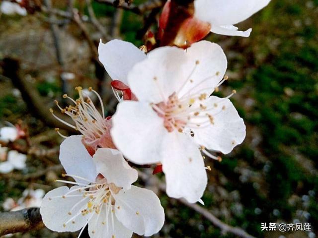 生活给了你什么样的礼物?-百科网