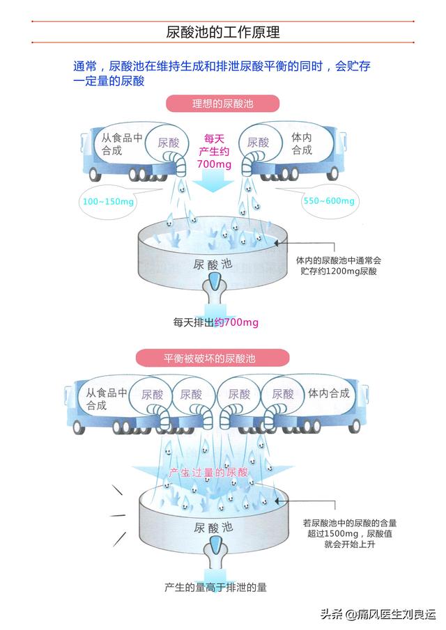 卢梭鱼图片:尿酸高可以吃鱼吗？为什么？