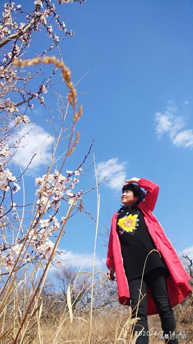 踏青归来怎么发朋友圈？