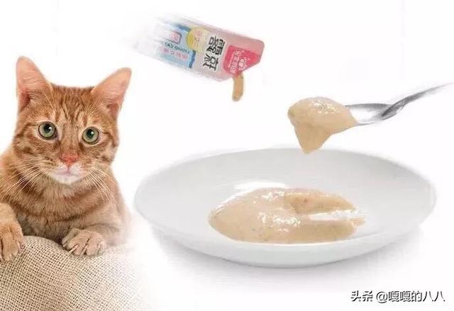 拍拖宝贝猫粮:什么是天然猫粮，怎么选择才是正确的？