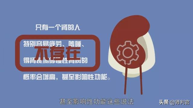 一个肾能活多久:一个肾能活多久 女人 如果切除掉一个肾，我们还能活多久？