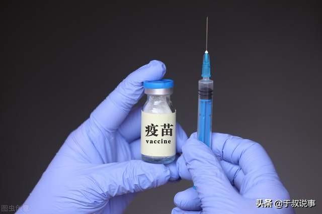 藏獒之窗网:狗的弱点在哪里？被疯狗攻击时正确的应对措施是什么？ 藏獒之窗