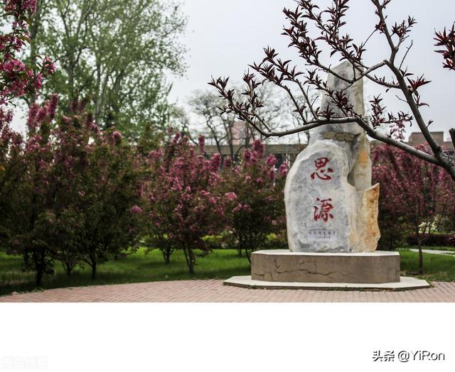 南京农业大学工学院教务处 中国有哪些农业大学