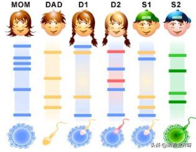 近亲家族影音先锋:DNA相似度90%确定是本人吗？