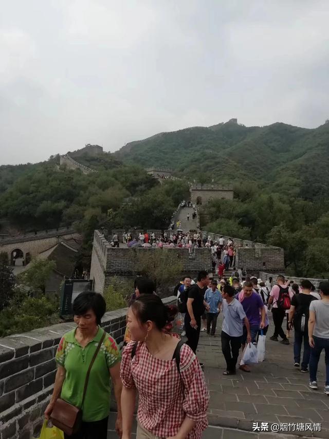 狗孩论坛观看高清频道:在公共场所给宝宝哺乳，该如何避免尴尬？