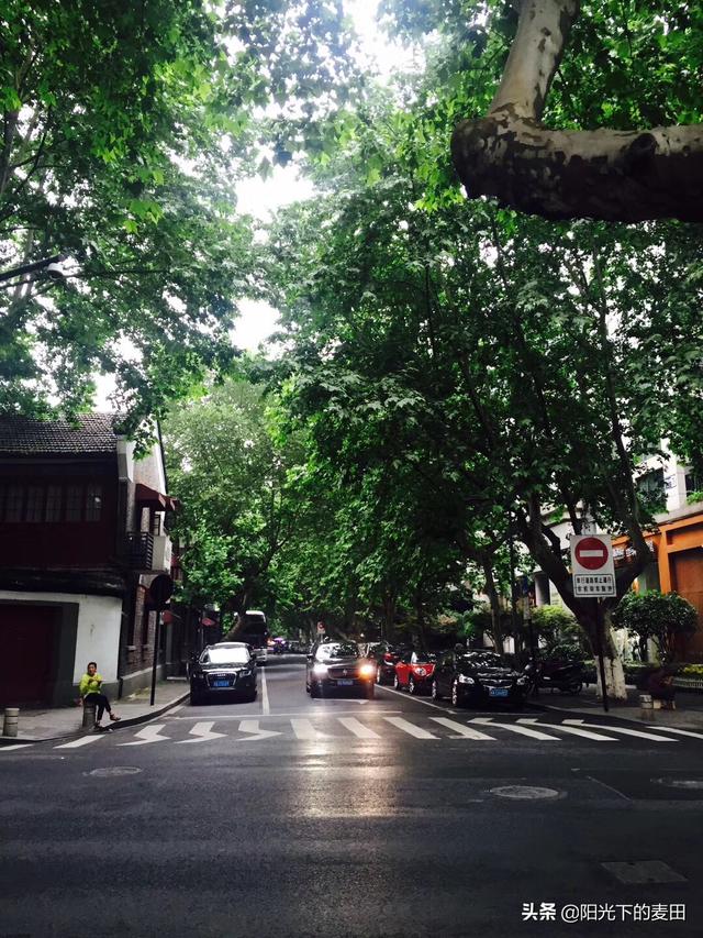 有哪些关于分享旅行心情的唯美句子,不该去衬托一下吗？