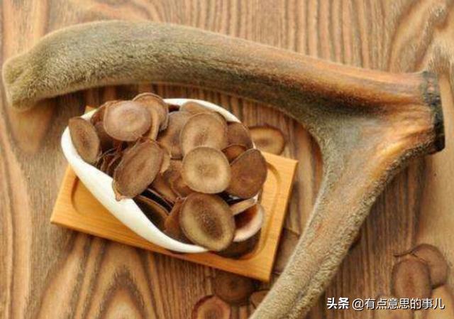 养殖20头梅花鹿,大概一年挣多少钱？