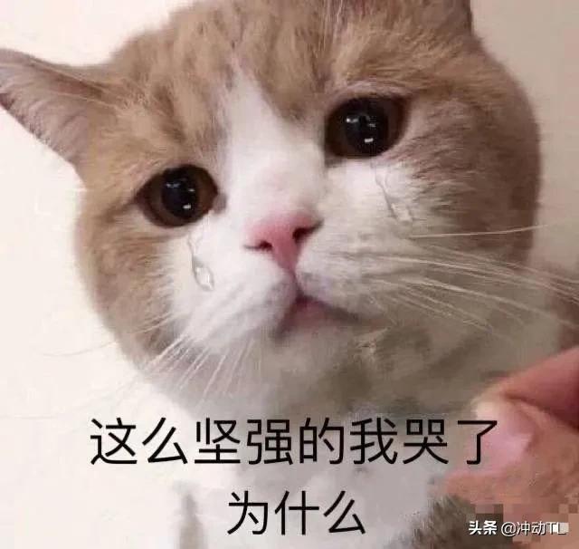 当你和女朋友一起玩王者荣耀的时候你开心么？