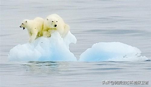 中国南极科考站避孕套事件，南极出现“西瓜雪”。全球气候变暖有多可怕