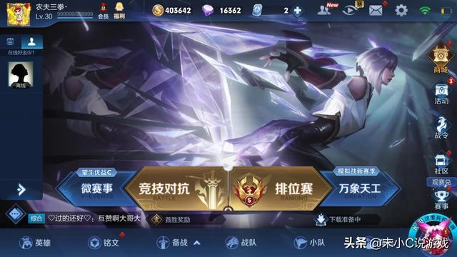 圣伯纳狗头印记代表什么含义:圣伯纳狗头代表什么含义 王者荣耀怎样练才能玩得好，不被队友骂？