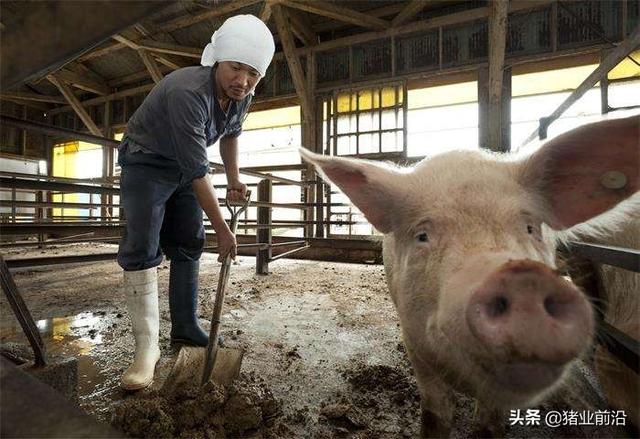 药物去势:药物去势有哪些药 药价不断上涨的原因是什么？