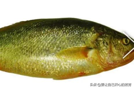 黄鱼都有哪些烹饪做法？