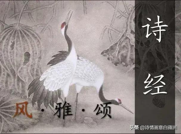 《诗经》为何又叫《诗三百》？