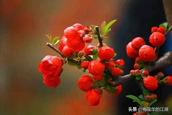 蜀锦地衣丝步障:情侣之间最喜欢的小动作有哪些？