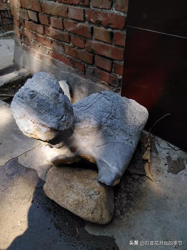 天然大化石原石图片,你收藏的天然奇石有哪些已经升值了？