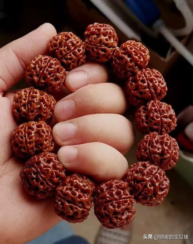 金刚菩提的好坏,如何区分小金刚菩提子好坏？