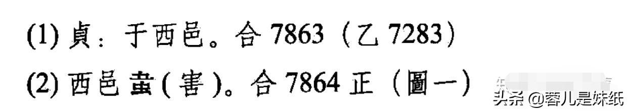 有人推测西邑代指夏朝,而根据研究西邑就是唐邑,唐国不是陶唐氏后裔吗,跟夏后氏有什么关系？
