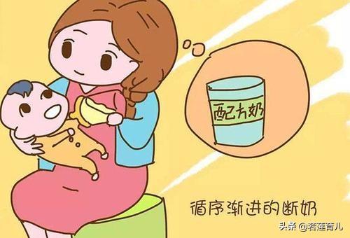 宝宝什么时候断奶最好:宝宝断奶一般多大比较合适，感觉断奶好难？