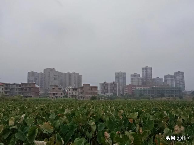 请问现在什么行业的潜力比较大？