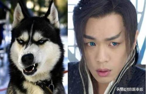 沈春阳图片:为什么有些人攻击沈春阳？