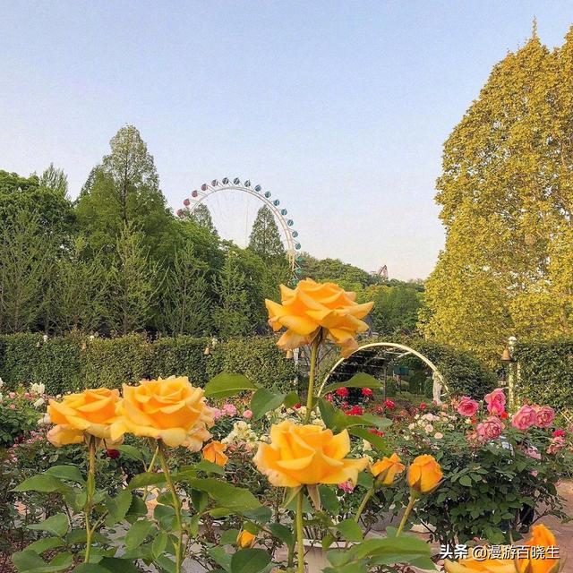 头条问答 动漫中有哪些猫娘美少女 品阅世界的回答 0赞