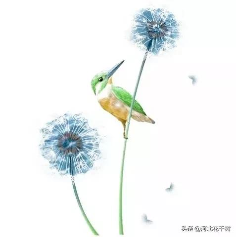 超钢女雪拉:为什么有的女人可以忍受家暴而不离婚？