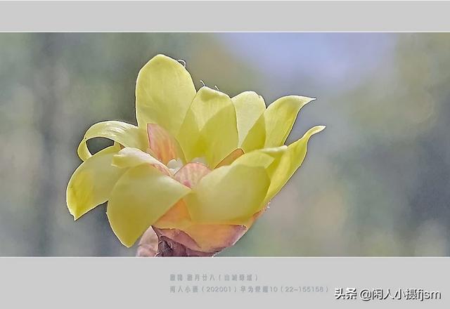 手机拍照,什么情况下用HDR模式？你经常用吗？