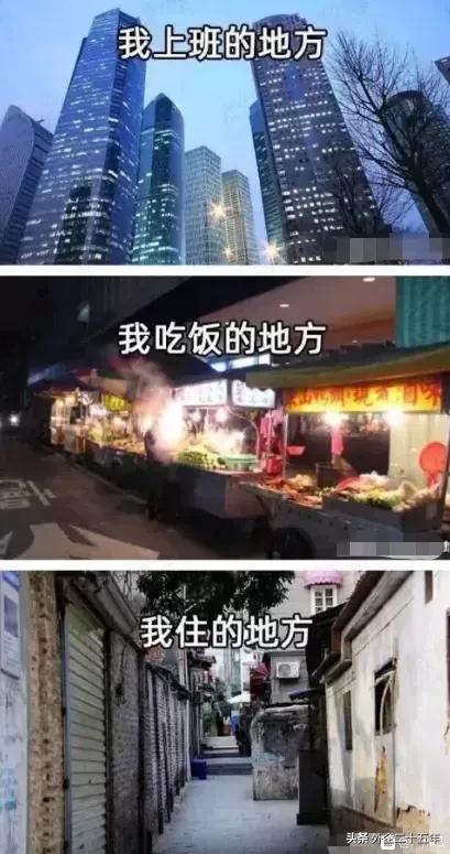 永州宠物狗交易网:急。湖南的永州和长沙火车站怎么能带仓鼠过安检？