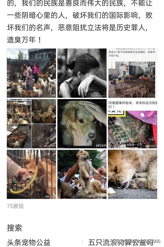 小缉毒犬:在小区内放置狗笼子养狗和杀狗应该归哪个部门管理？怎么处罚？