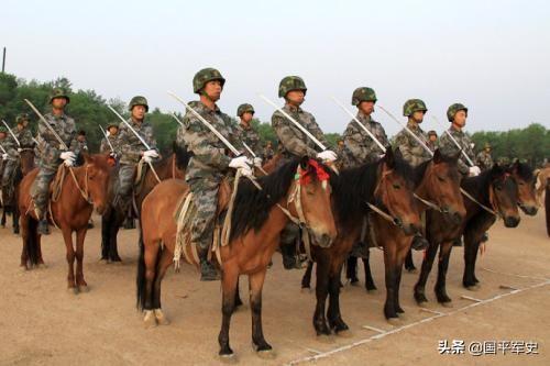 军队现代化后,原来骑兵的战马都怎么处理？
