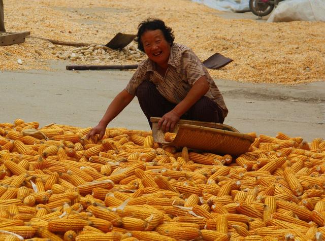 孟立秋:六月立秋赶死牛，七月立秋慢悠悠，今年的立秋是什么概况？