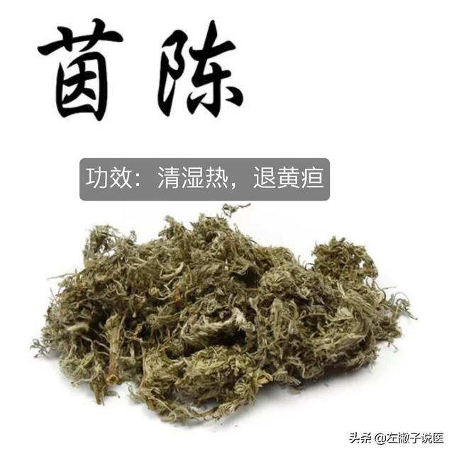 什么泡水可以补肝养肝,茵陈泡水喝能保护肝脏吗？