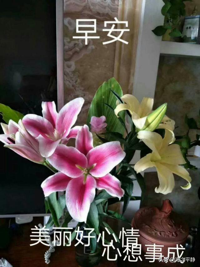暖心的早安心语有哪些？
