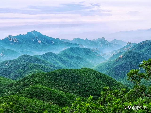 各位中老年摄影爱好者，你们爱拍风景花鸟么大家有好看的照片么