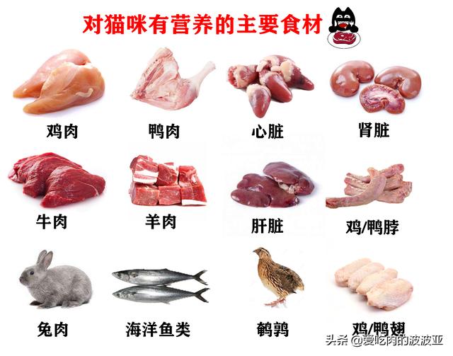 小蓝猫最喜欢吃什么零食:蓝猫吃什么可以美毛？吃蛋黄能美毛吗？ 小蓝猫最喜欢吃什么
