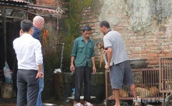 济宁 肉食狗 基地:济宁有养肉食狗的吗 养殖肉狗有哪些比较好的建议？