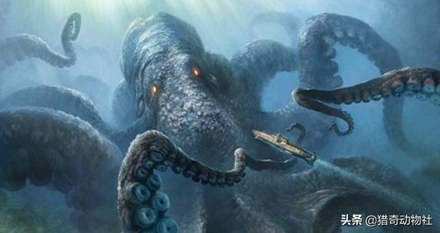 大家对于神农架野人,喜马拉雅雪人,奥古普古水怪以及我国的喀纳斯水怪