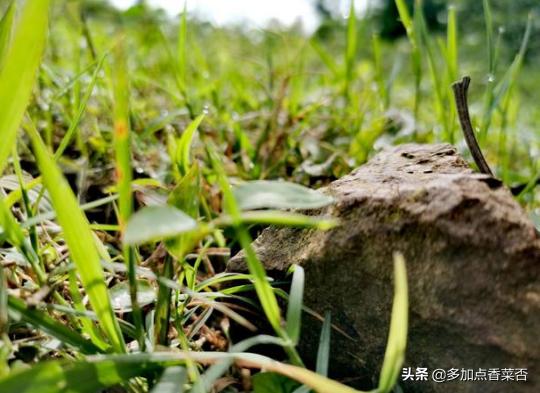 大自然的语言有哪些说明方法？:大自然的语言说明顺序 第1张