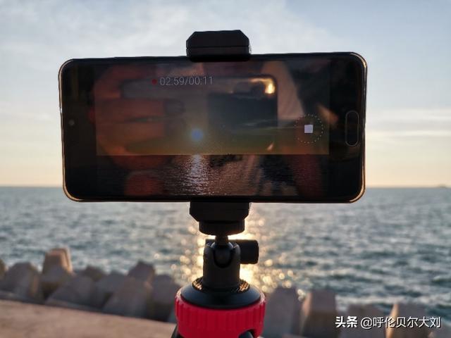 360宠物之家的微博精选手机版:男生一个人旅行如何克服孤单感？