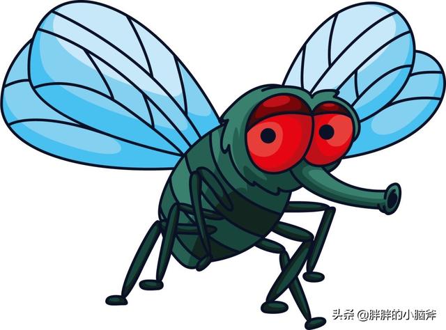 宿舍苍蝇太多怎么消灭最好:有什么好办法能灭掉周围的苍蝇和蚊子？